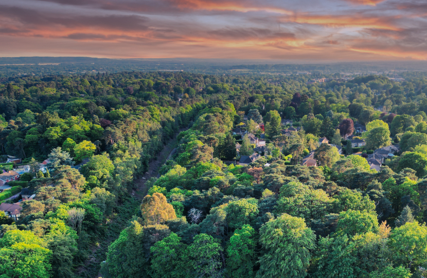 Camberley Skyline