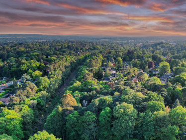 Camberley Skyline